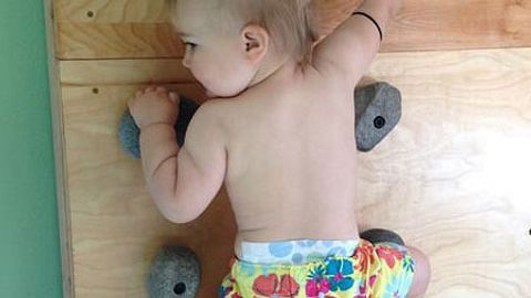 kletterndes baby - Foto: facebook.com/LittleZenMonkey