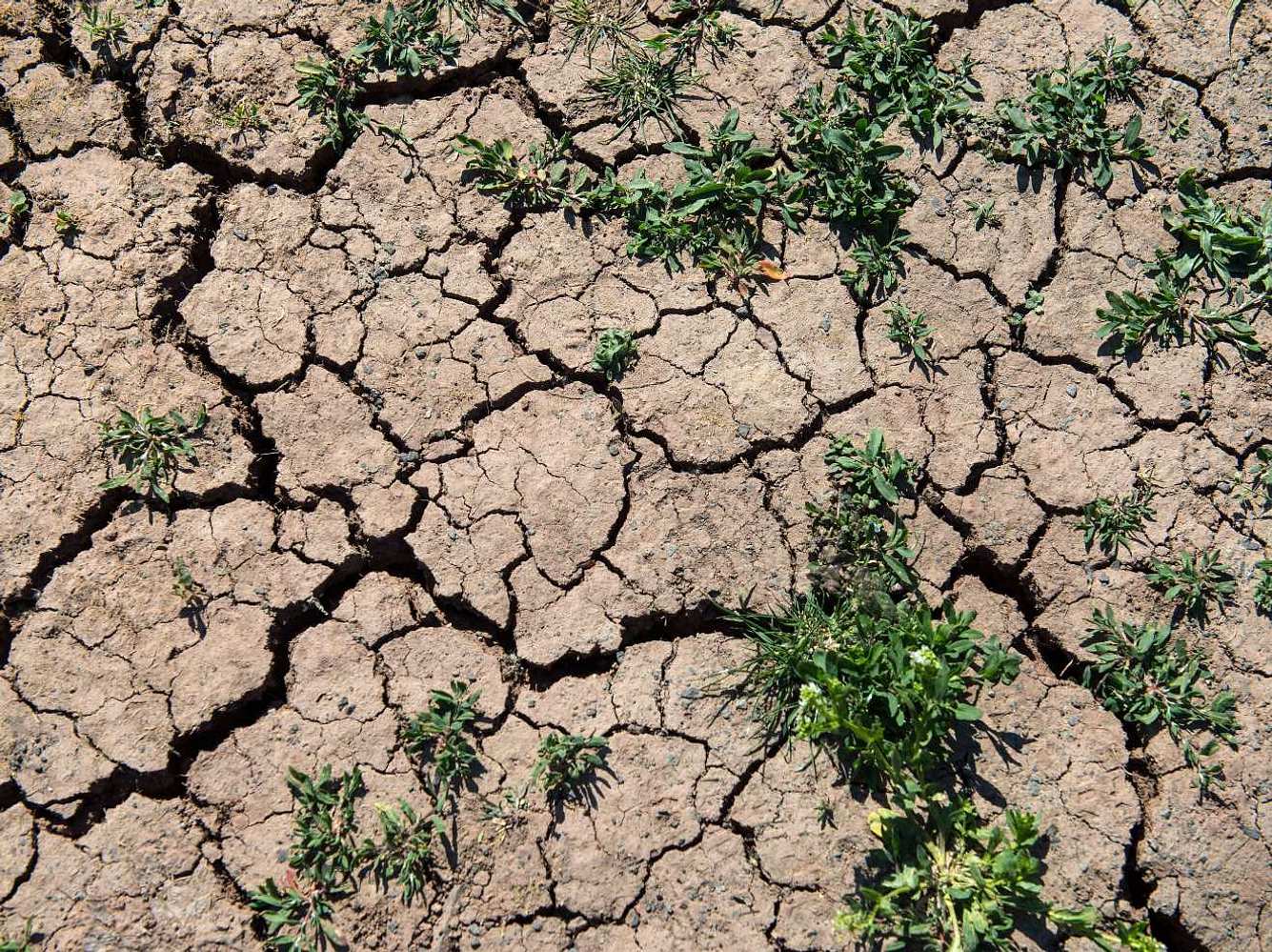 Klima 2070: Milliarden Menschen könnten unter Dauerhitze leiden Klima 2070: Milliarden Menschen könnten unter Dauerhitze leiden