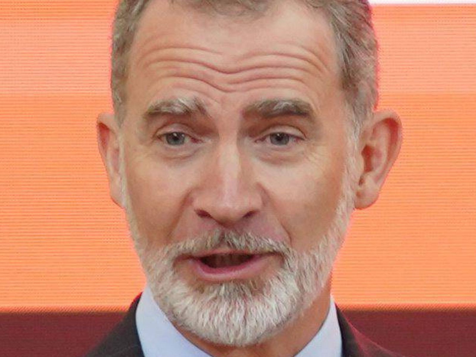 König Felipe von Spanien Darum flüchtet er in die Berge! Wunderweib