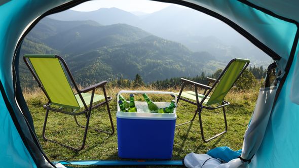 Kühlbox - Foto: iStock / Liudmila Chernetska