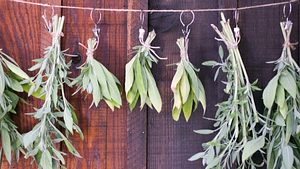 Kräuter trocknen: Lavendel, Rosmarin und Salbei. - Foto: Lara Hata/iStock