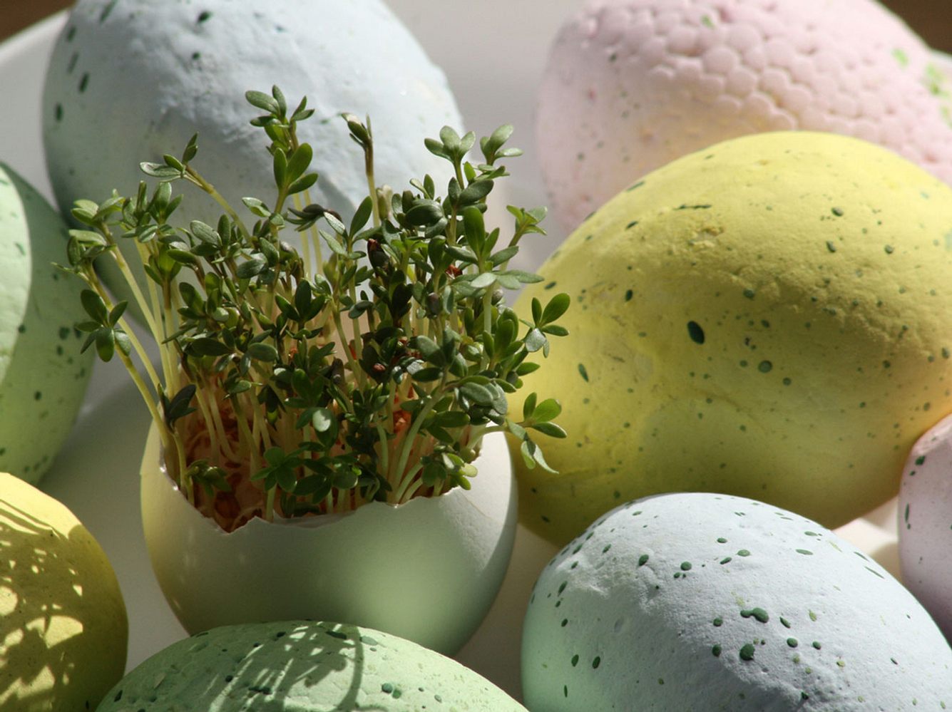 Kresse Eier basteln: Schöne Osterdeko leicht gemacht