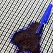Kugelschreiber entfernen:  Die 5 besten Hausmittel gegen hartnäckige Kuli-Flecken - Foto: matt_benoit/iStock