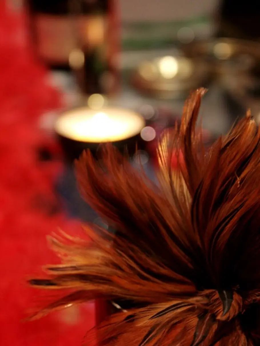 Ladies Night: Unsere Erlebnisse auf der Dildo-Party... ladies night h