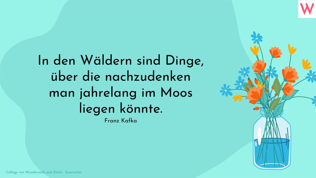 In den Wäldern sind Dinge, über die nachzudenken man jahrelang im Moos liegen könnte. Franz Kafka