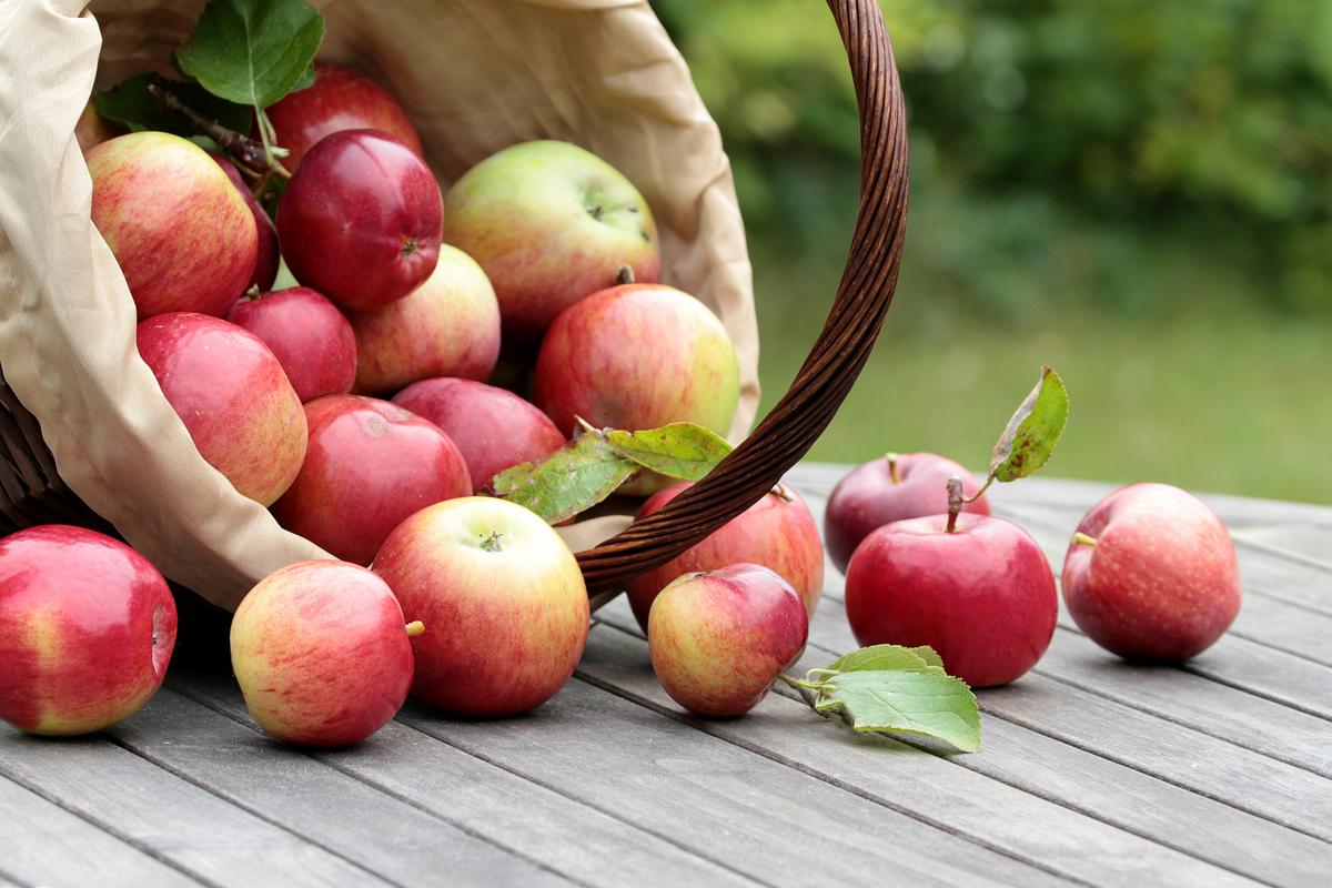 Lebensmittel, die den Stoffwechsel anregen - Äpfel