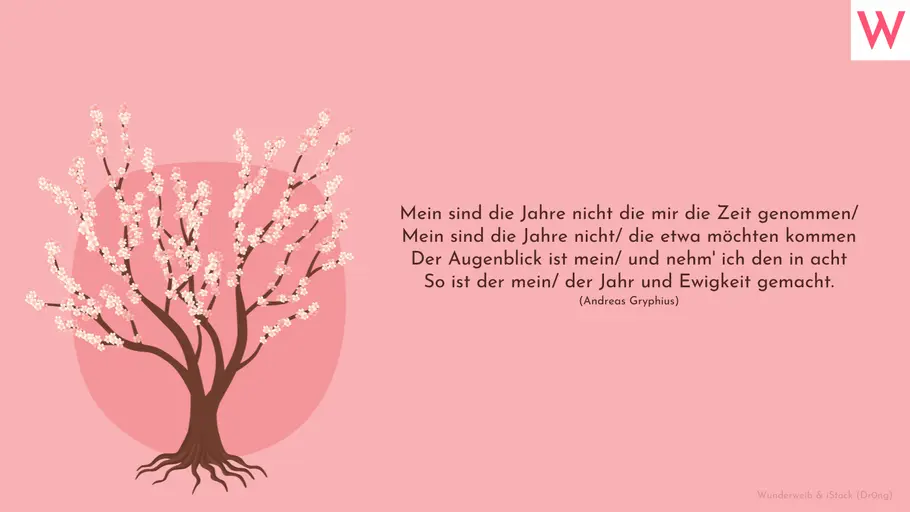 Mein sind die Jahre nicht die mir die Zeit genommen/ Mein sind die Jahre nicht/ die etwa möchten kommen Der Augenblick ist mein/ und nehm ich den in acht So ist der mein/ der Jahr und Ewigkeit gemacht. (Andreas Gryphius) Mein sind die Jahre nicht die mir die Zeit genommen/ Mein sind die Jahre nicht/ die etwa möchten kommen Der Augenblick ist mein/ und nehm ich den in acht So ist der mein/ der Jahr und Ewigkeit gemacht. (Andreas Gryphius)