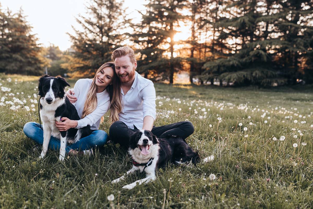 Verliebtes Paar teilt einen innigen Moment in der Natur mit zwei Hunden.