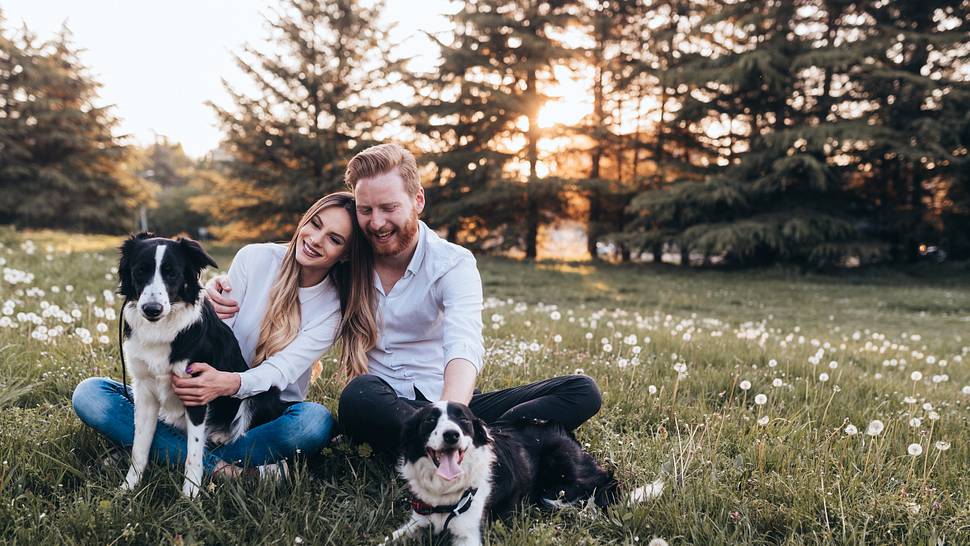 Verliebtes Paar teilt einen innigen Moment in der Natur mit zwei Hunden. - Foto: nd3000 / iStock