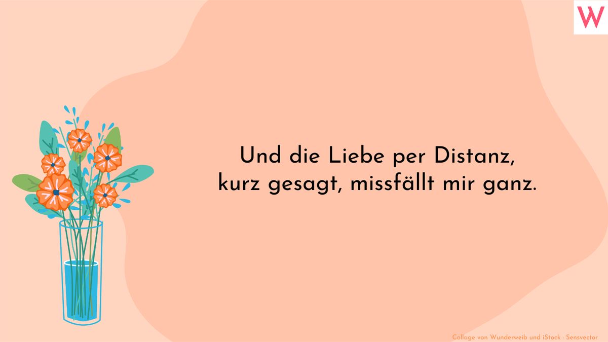 Und die Liebe per Distanz, kurz gesagt, missfällt mir ganz.