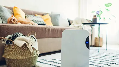 Luftentfeuchter elektrisch - Foto: iStock/Maryviolet