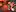 14. Chili lust essen_800x600
