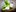 17. Fenchel lust essen_800x600