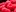 25. Himbeeren lust essen_800x600