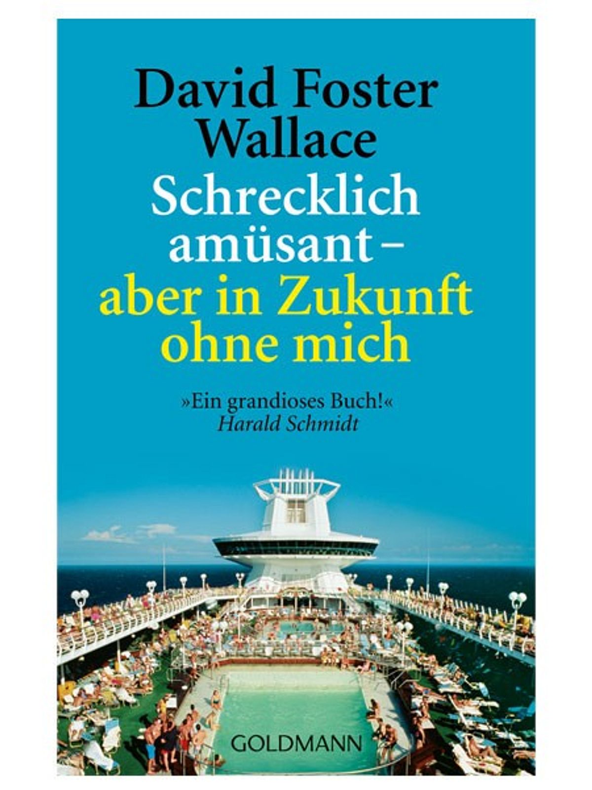 lustige buecher schrecklich amuesant david foster wallace_450x600