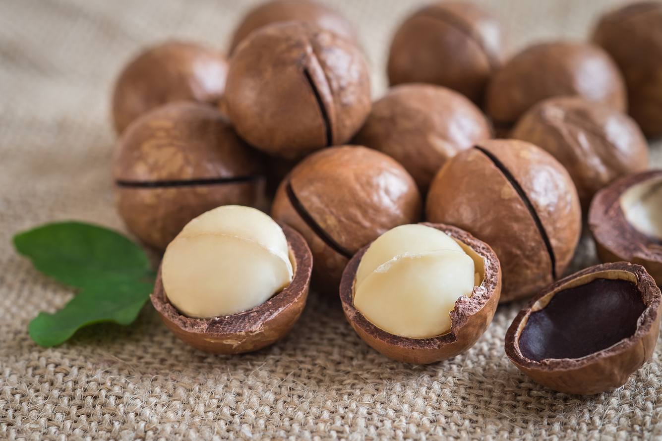 Macadamia: Gesund ist die Königin der Nüsse - und hat eine exotische Herkunft
