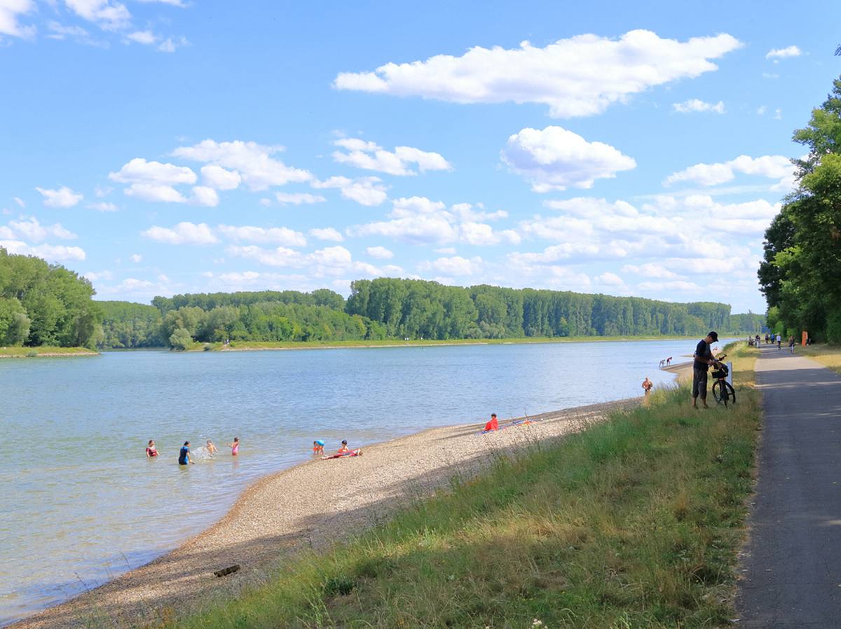 3 Mädchen im Rhein ertrunken