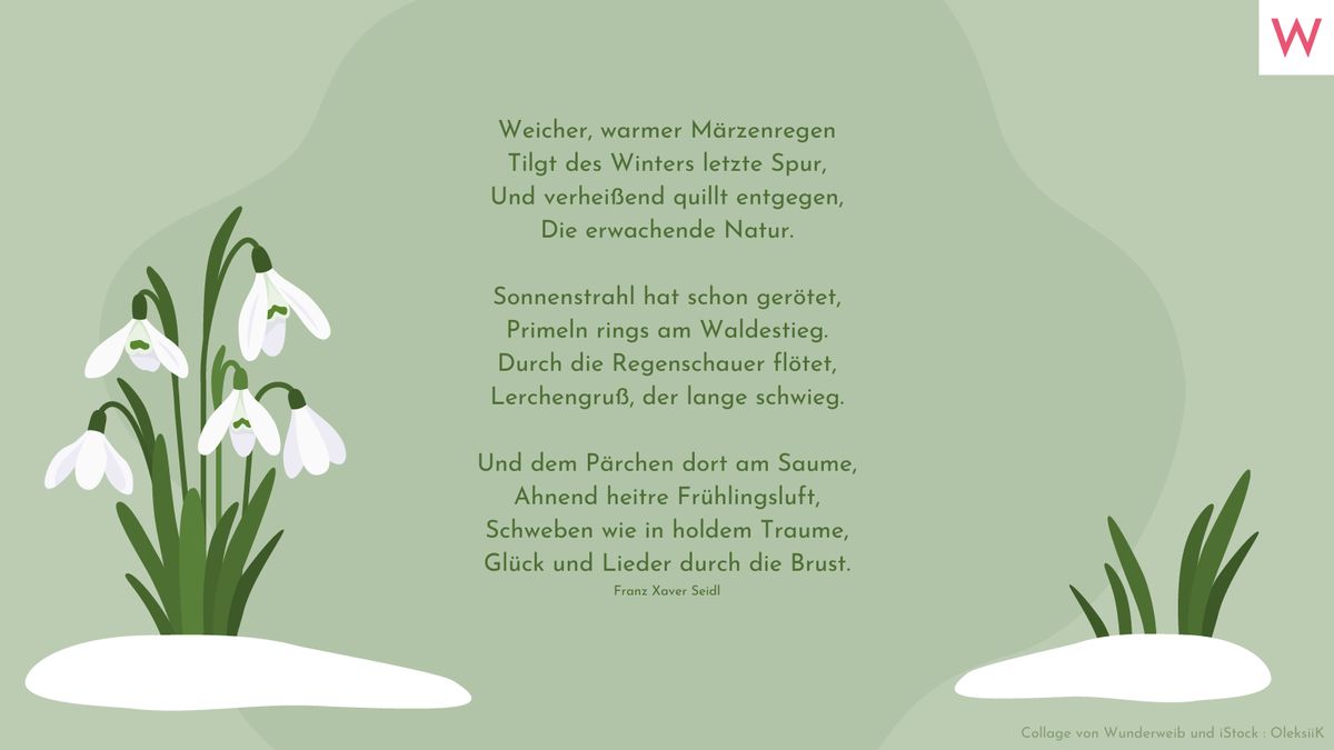 Weicher, warmer Märzenregen Tilgt des Winters letzte Spur, Und verheißend quillt entgegen, Die erwachende Natur.  Sonnenstrahl hat schon gerötet, Primeln rings am Waldestieg. Durch die Regenschauer flötet, Lerchengruß, der lange schwieg.  Und dem Pärchen dort am Saume, Ahnend heitre Frühlingsluft, Schweben wie in holdem Traume, Glück und Lieder durch die Brust. (Franz Xaver Seidl)