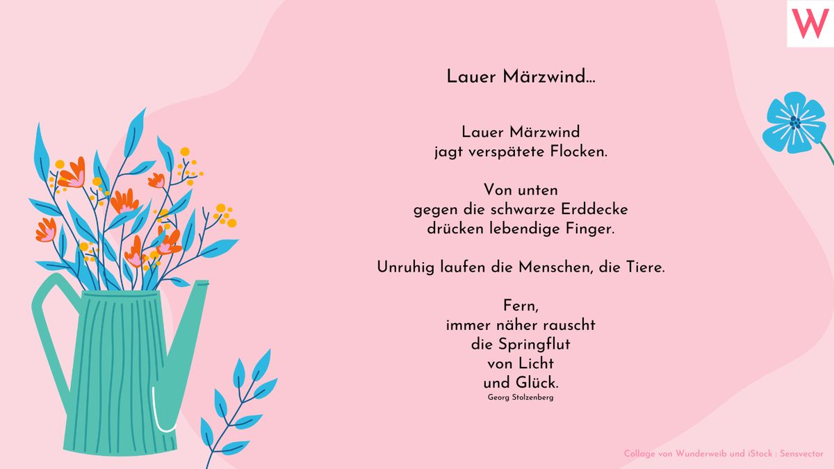 Lauer Märzwind...:  Lauer Märzwind jagt verspätete Flocken.  Von unten gegen die schwarze Erddecke drücken lebendige Finger.  Unruhig laufen die Menschen, die Tiere.  Fern, immer näher rauscht die Springflut von Licht und Glück. (Georg Stolzenberg)