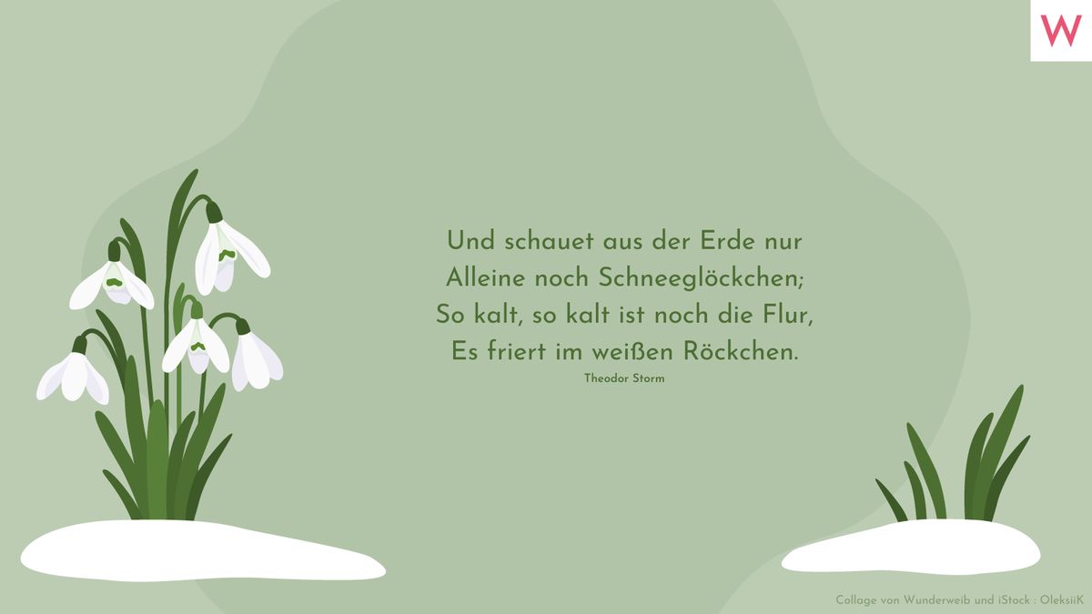 Und schauet aus der Erde nur Alleine noch Schneeglöckchen; So kalt, so kalt ist noch die Flur, Es friert im weißen Röckchen. (Theodor Storm)