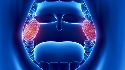 Die Mandeln sind wichtig für den Aufbau unseres Immunsystems. - Foto: iStock/janulla