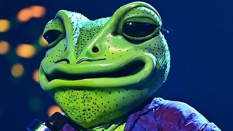 The Masked Singer 2020: Der Frosch wurde enthüllt! - Foto: ProSieben/Willi Weber