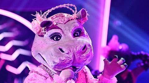 Masked Singer: Das Nilpferd ist enthüllt! - Foto: ProSieben/Willi Weber