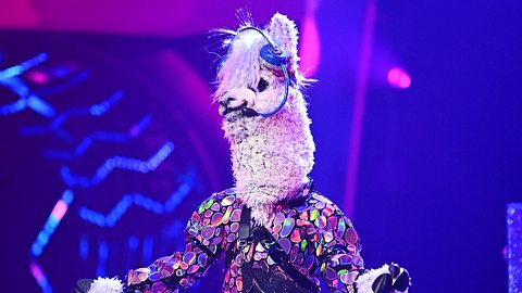 Die Enthüllung des Alpakas war eine kleine Überraschung. - Foto: ProSieben/ Willi Weber