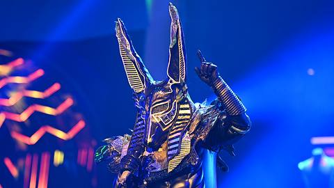 Wer steckt hinter dem Anubis-Kostüm? - Foto: ProSieben/ Willi Weber