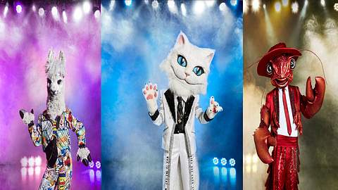 Endlich stehen alle zehn Kostüme von The Masked Singer fest. - Foto: ProSieben/Marc Rehbeck