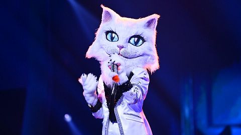 Masked Singer: Katze enttarnt! Sie steckt wirklich dahinter - Foto: ProSieben/Willi Weber
