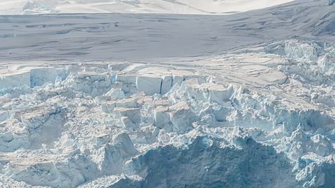 In der Antarktis haben Forscher eine interessante Entdeckung gemacht. - Foto: Getty Images/ Alessandro Dahan