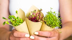 Microgreens - Foto: iStock / Lakshmi3