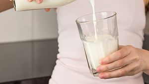 Milch und Co. gegen Kater? Wir sagen dir, welche Tipps wirklich sinnvoll sind. - Foto: iStock/DenizA