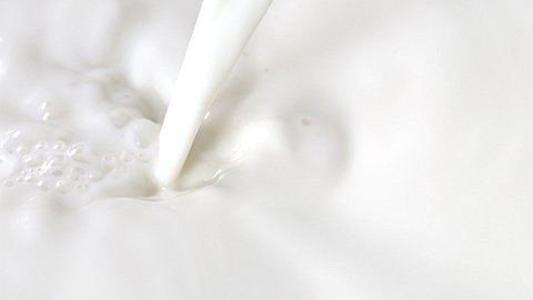In Frisch-Milch wurden gefährliche Keime gefunden. - Foto: iStock