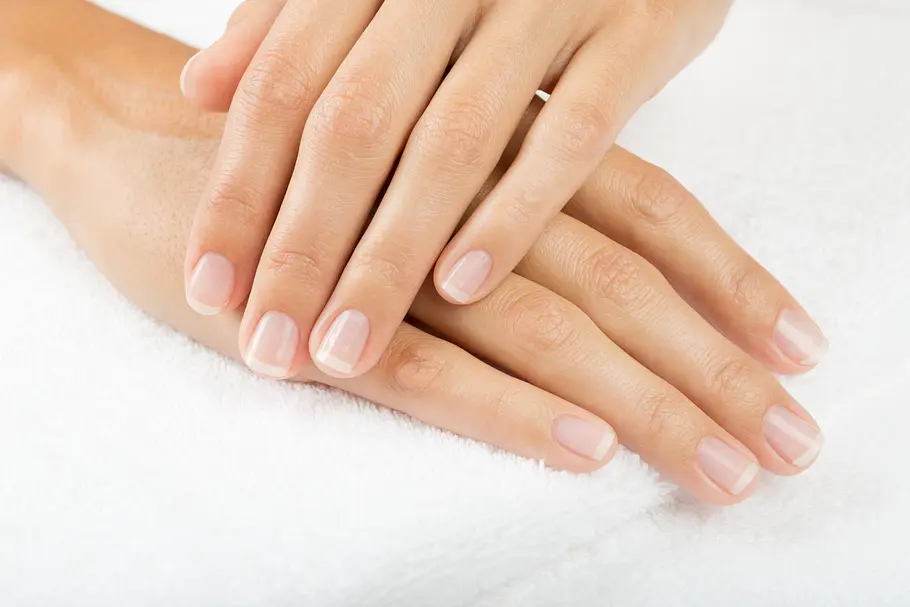 Milchiger Nagellack Kurze Nägel mit einem transparenten Milch-Lack