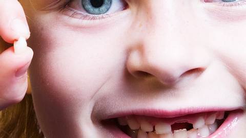 Milchzähne können Leben retten - Foto: iStock