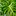 Was du über die Pflege einer Monstera wissen solltest. - Foto: iStock