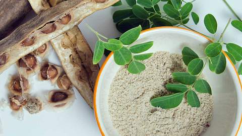 Moringa: Wirkung und Vorteile des Wunderbaums - Foto: iStock/ SuradechK