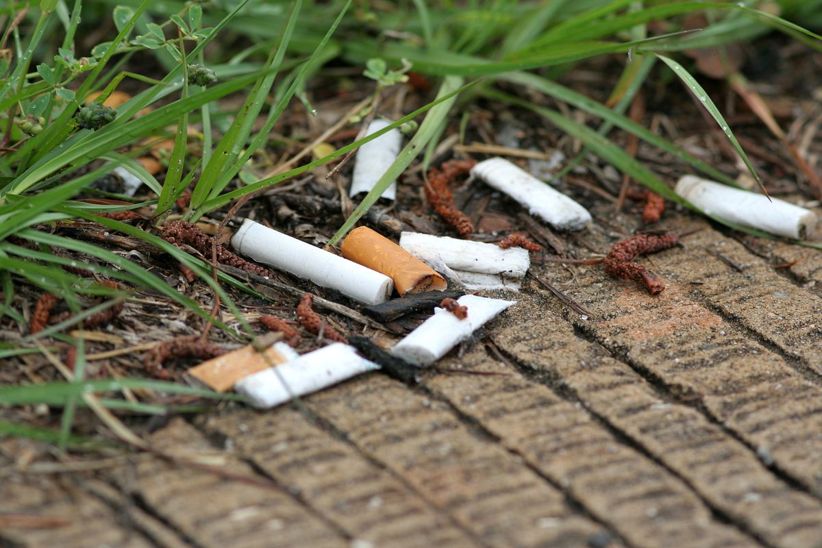 Selber schuld: Zigaretten werden immer wieder achtlos weggeworfen - und deswegen vermutlich teurer. (Themenbild)