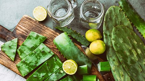 Nopal ist ein stacheliges Superfood. - Foto: iStock/LarisaBlinova