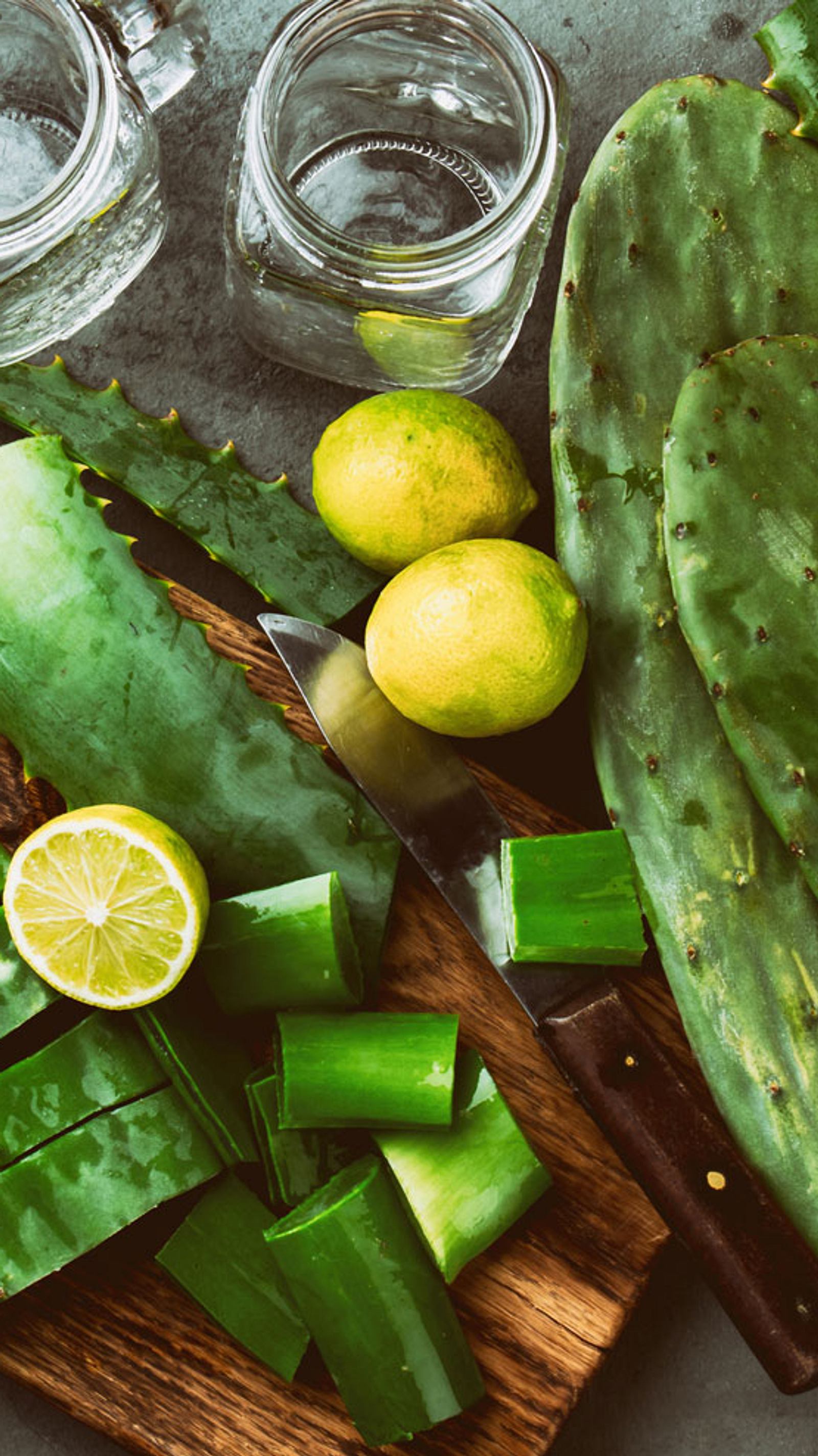 Nopal: So bereitest du den Kaktus zu | Wunderweib