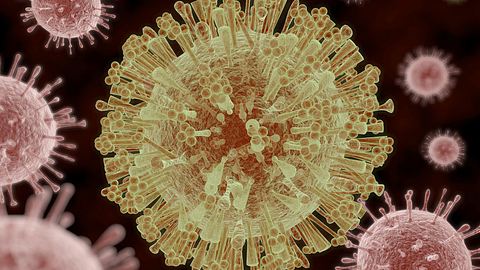 Der Noro-Virus breitet sich immer schneller aus. - Foto: iStock