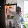 Optimale Kühlschranktemperatur: Wenn du diesen typischen Fehler vermeidest, sparst du Energie!  - Foto: zoranm/iStock