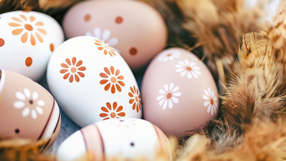 Auf die Eier, fertig, losgemalt! - Foto: DianaHirsch/iStock