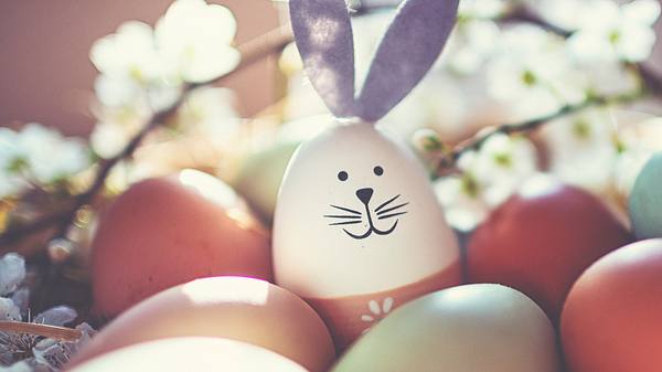 Ein zu einem Häschen umgebasteltes Ei liegt im Sonnenlicht vor einem blühenden Kirschzweig zwischen weiteren bunten Eiern. (Themenbild) - Foto: Rike_/iStock