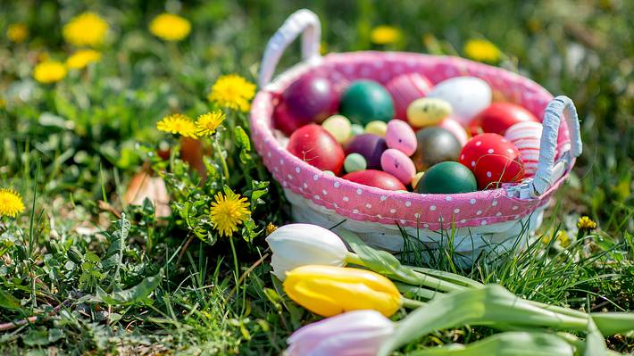 Osternest mit Eiern auf der Wiese - Foto: iStock/dmphoto 