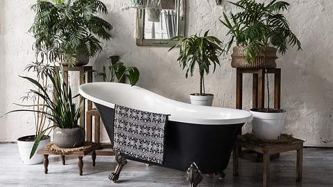 Für jedes Bad haben wir die richtige Pflanze. - Foto: brizmaker/iStock