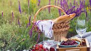 Leckere Picknick-Rezepte. - Foto: iStock