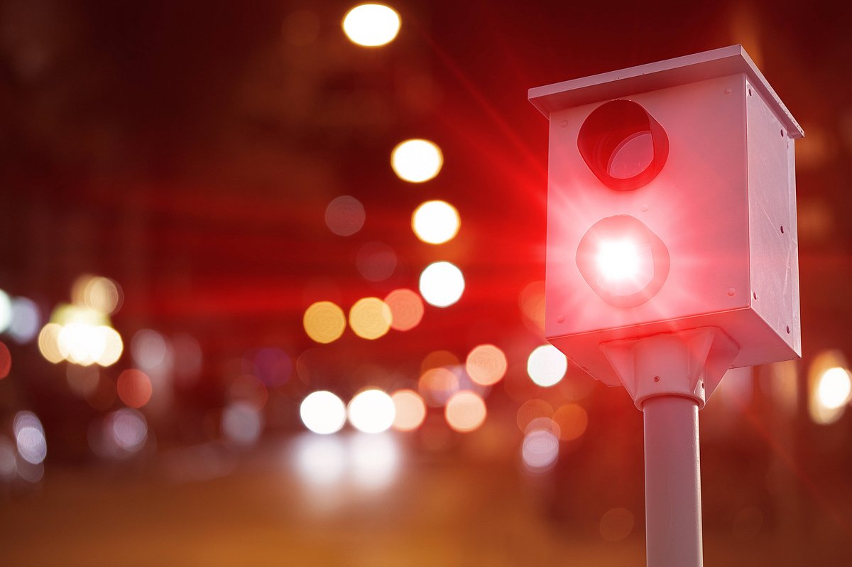 Polizei erstaunt: Hund mit 61 km/h geblitzt - das Beweis-Foto!